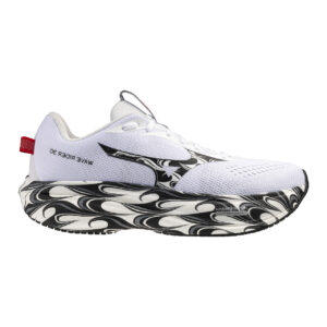 MIZUNO RIDER 30 DISCLOSURE